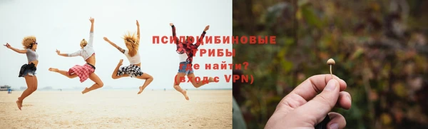 mix Верхний Тагил