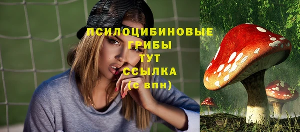прущая мука Бородино