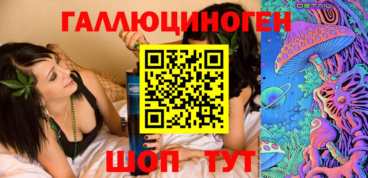 Псилоцибиновые грибы Psilocybine cubensis Северск