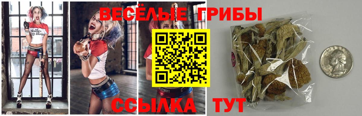 Северск  Галлюциногенные грибы Magic Shrooms  Вход с VPN 